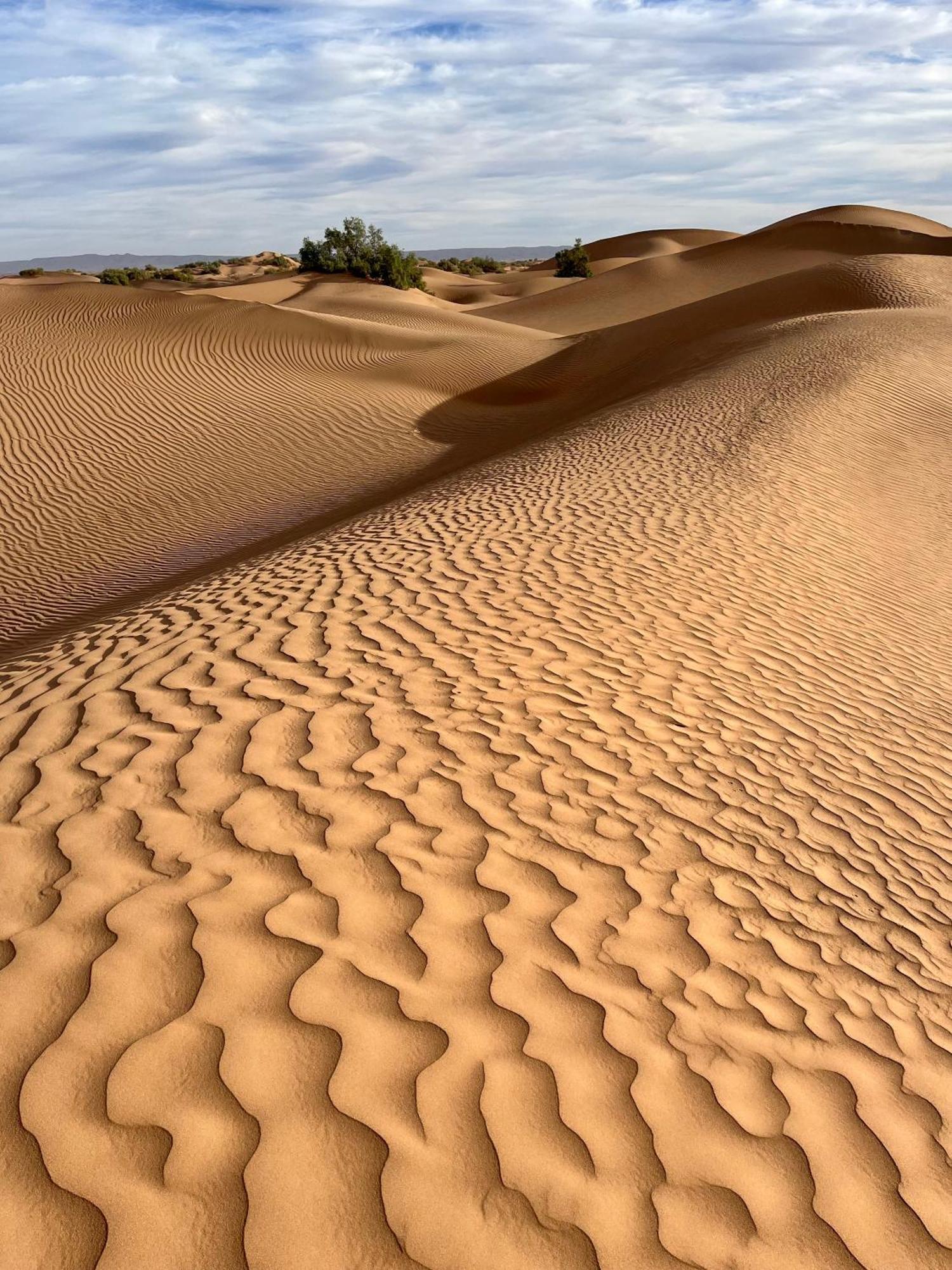 Desert Chegaga Luxury Camp El Gouera المظهر الخارجي الصورة