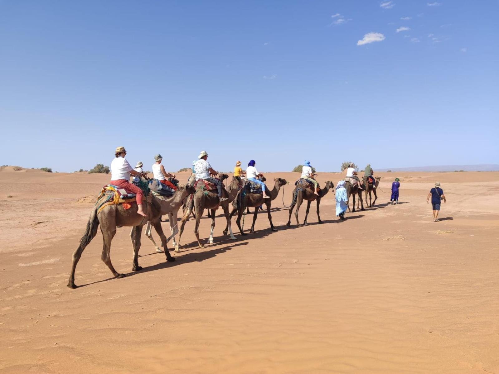 Desert Chegaga Luxury Camp El Gouera المظهر الخارجي الصورة