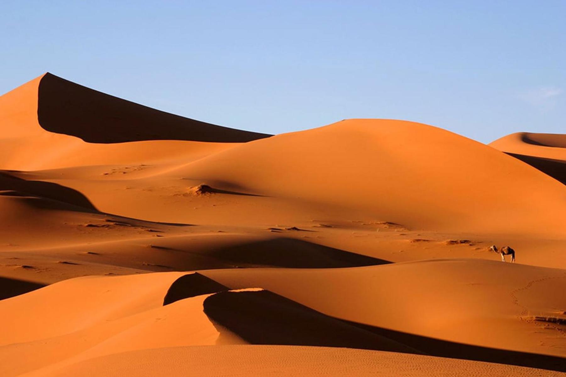 Desert Chegaga Luxury Camp El Gouera المظهر الخارجي الصورة