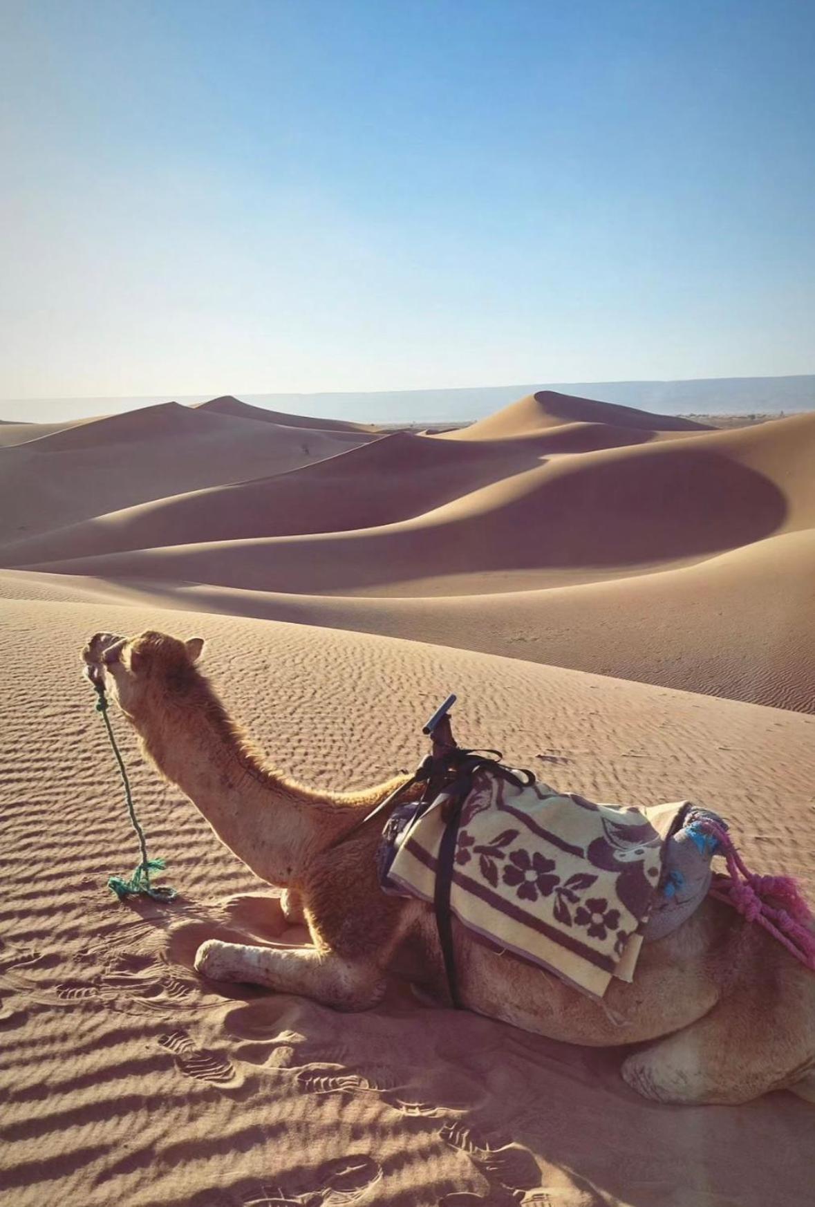 Desert Chegaga Luxury Camp El Gouera المظهر الخارجي الصورة